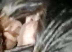 Paki marriad wholesale copulation blowjob